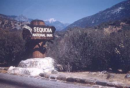 Sequoia National Park 14 Jul 1957
