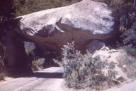 Arch Rock on General's Highway - Sequoia National Park 14 Jul 1957
