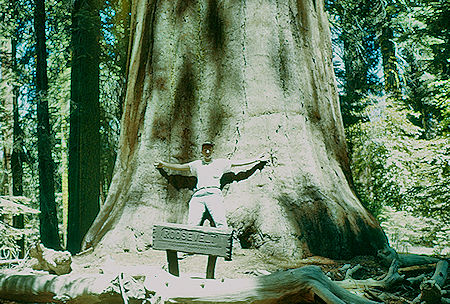 Me at base of Roosevelt Tree (10) in Giant Forest - Sequoia National Park 15-17 Jul 1957