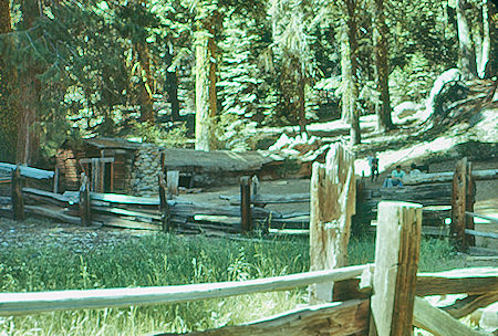 Tharp's Cabin in Giant Forest - Sequoia National Park 15-17 Jul 1957