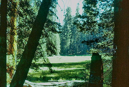 Huckleberry Meadow - Sequoia National Park 15-17 Jul 1957