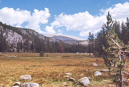 Meadow on Rock Creek - Sequoia National Park 27 Aug 1971