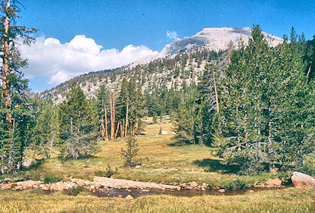 Meadow along Rock Creek - Sequoia National Park 29 Aug 1971