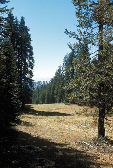 Cahoon Meadow - Sequoia National Park - October 1973