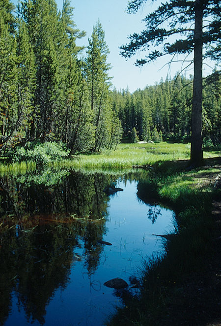 Pond near Cinko Lake - Hoover Wilderness - Aug 1993