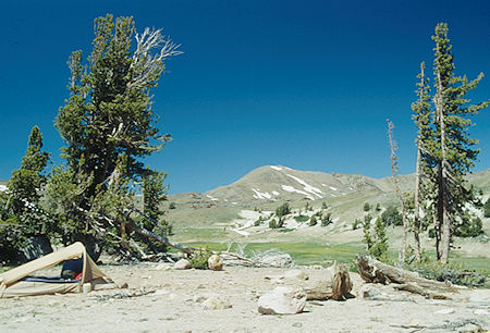 Big Sam from camp at meadow near Grizzly Peak - Hoover Wilderness - Aug 1993