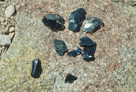 Obsidion chips found near Emigrant Pass - Hoover Wilderness - Aug 1993