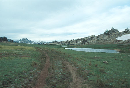 Back on the old mine road/trail near Emigrant Pass/Grizzly Meadow - Emigrant Wilderness - Aug 1993