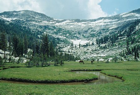 Meadow above Upper Twin Lake - Yosemite National Park - Aug 1993