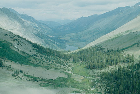 Looking down Kennedy Lake Creek from Big Sam Road - Emigrant Wilderness - Aug 1993