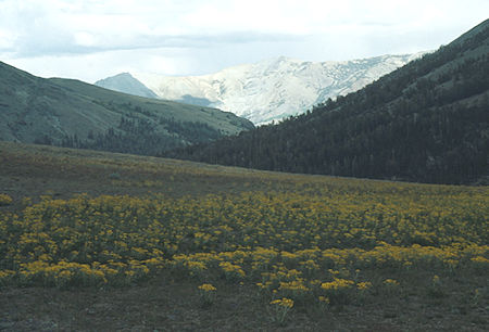Kennedy Canyon toward Walker Meadows at saddle - Emigrant Wilderness - Sep 1993
