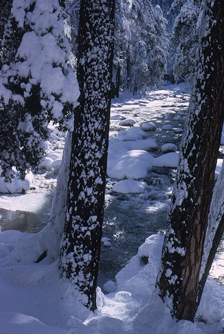 Merced River below Happy Isles in Yosemite Valley - Yosemite National Park 01 Jan 1966