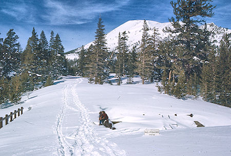Mammoth Mountain from bridge at outlet to Lake Mamie - Mammoth Lakes Basin 17 Feb 1973