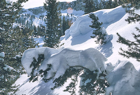 Snow form on way to Mammoth Pass - Mammoth Lakes Basin 17 Feb 1973