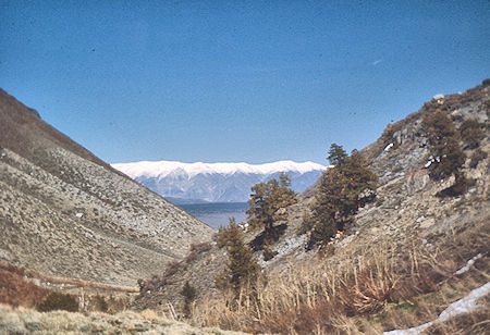 White Mountains from McGee Creek - John Muir Wilderness 16 May 1971
