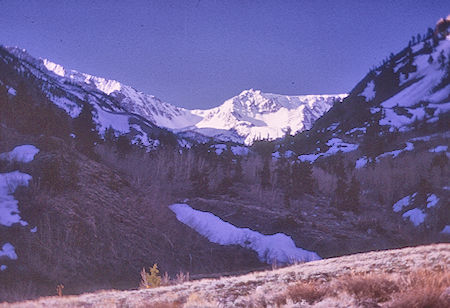 Early morning view up McGee Creek - John Muir Wilderness 15 May 1971
