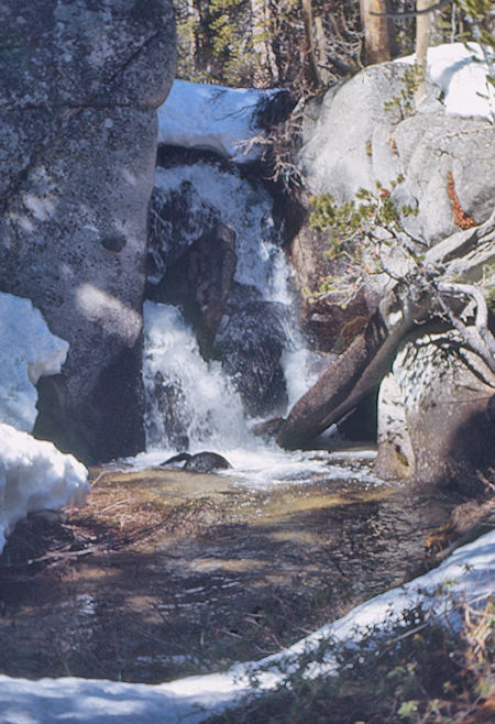 Side creek flowing into McGee Creek - John Muir Wilderness 15 May 1971
