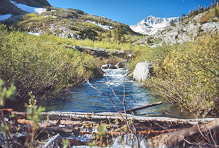 'The Crossing' on McGee Creek - John Muir Wilderness 19 Jun 1971