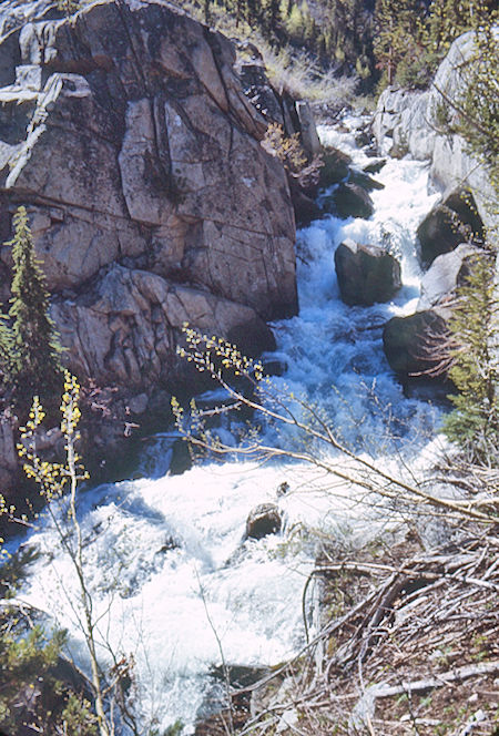 McGee Creek  - John Muir Wilderness 19 Jun 1971