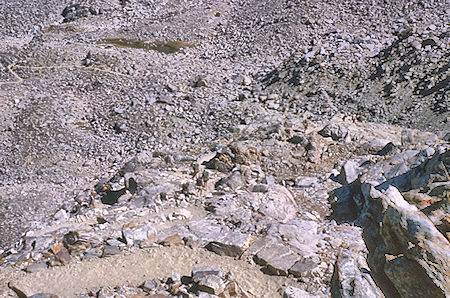 Switchbacks down from Bishop Pass - John Muir Wilderness 29 Aug 1964