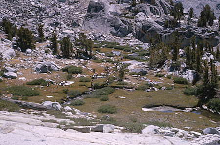 Camp at Dusy Lake - Kings Canyon National Park 28 Aug 1964