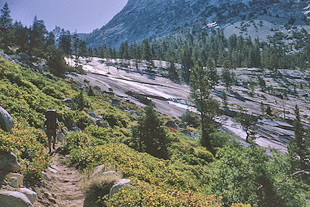 Dusy Creek cascades leaving LeConte Canyon - Kings Canyon National Park 28 Aug 1964