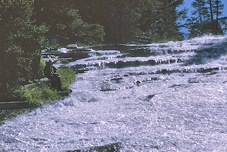Dusy Creek cascades - Kings Canyon National Park 22 Aug 1969