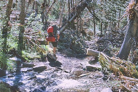 Avalanch trail mess - Kings Canyon National Park - 22 Aug 1969