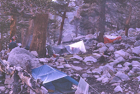 Camp at 'Sheep Camp' - Sequoia National Park 01 Sep 1967