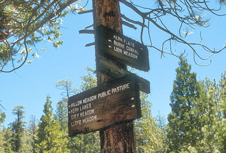 Willow Meadow Trail Junction