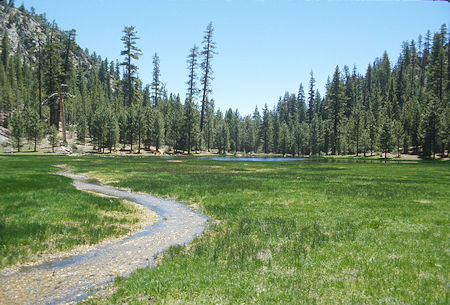 Lower Willow Meadow