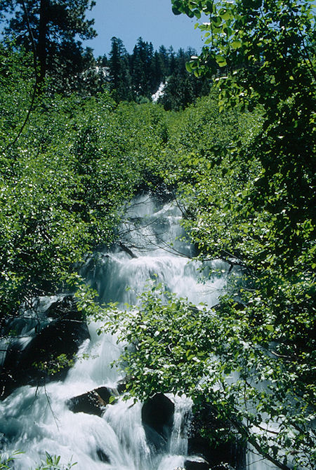 Grouse Creek - Emigrant Wilderness 1993
