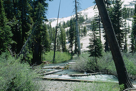 Summit Creek near camp - Emigrant Wilderness 1993