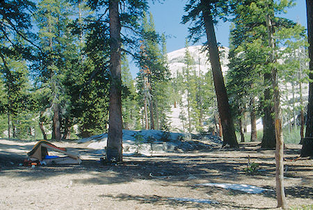First night's camp on Summit Creek - Emigrant Wilderness 1993
