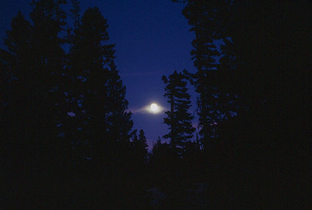 Moon over camp - Emigrant Wilderness 1993