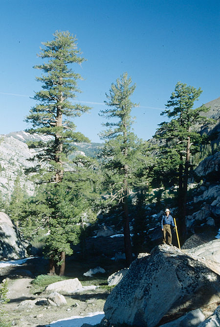 Gil Beilke near camp two - Emigrant Wilderness 1993