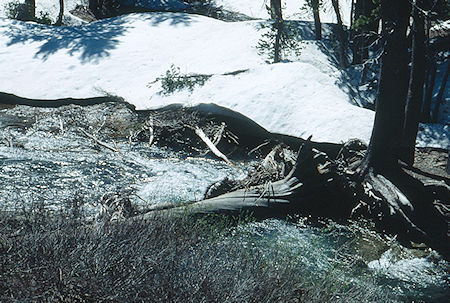 Logs across Summit Creek at camp two - Emigrant Wilderness 1993