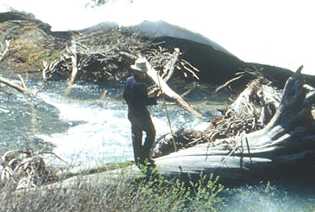 Gil Beilke on logs across Summit Creek at camp two - Emigrant Wilderness 1993