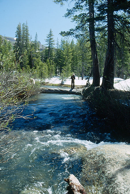 Gil Beilke on log across Summit Creek at second camp - Emigrant Wilderness 1993