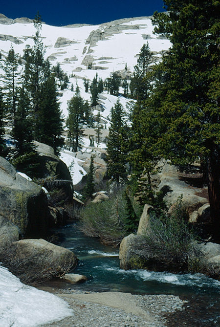 Looking down Summit Creek at camp two - Emigrant Wilderness 1993