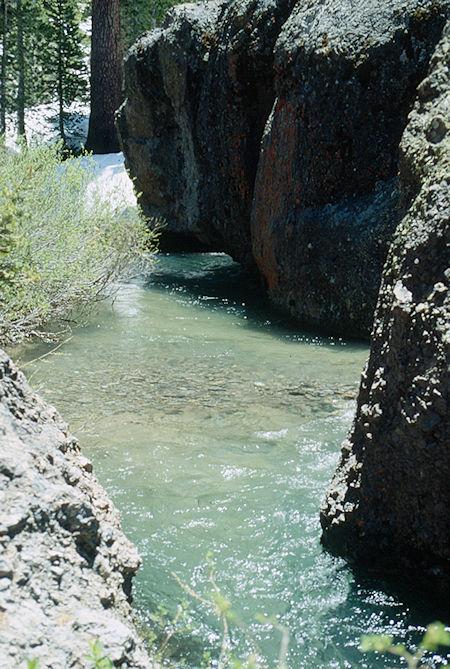 Summit Creek below Lunch Meadow - Emigrant Wilderness 1993