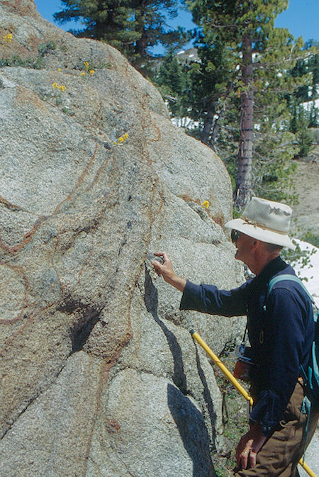 Gil Beilke examines geology at Lunch Meadow - Emigrant Wilderness 1993