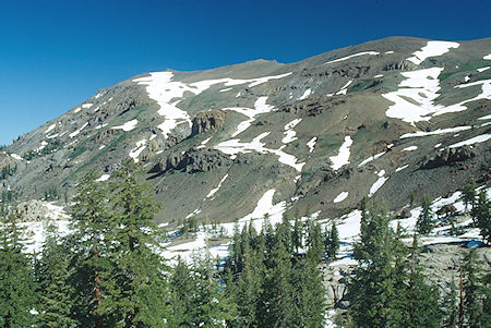 Relief Peak from route to Mosquito Pass - Emigrant Wilderness 1993
