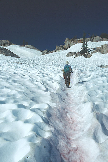 Gil Beilke on the way to Mosquito Pass with a little 'watermelon' algae in the snow - Emigrant Wilderness 1993