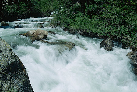 Relief Creek - Emigrant Wilderness 1993