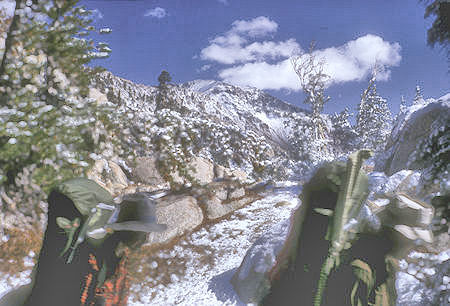 Crown Lake Trail in snow - Hoover Wilderness - 01 Sep 1964