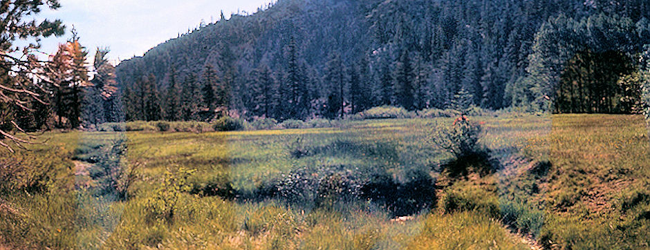 Sierra Nevada - John Muir Wilderness - Sawmill Meadow 1972