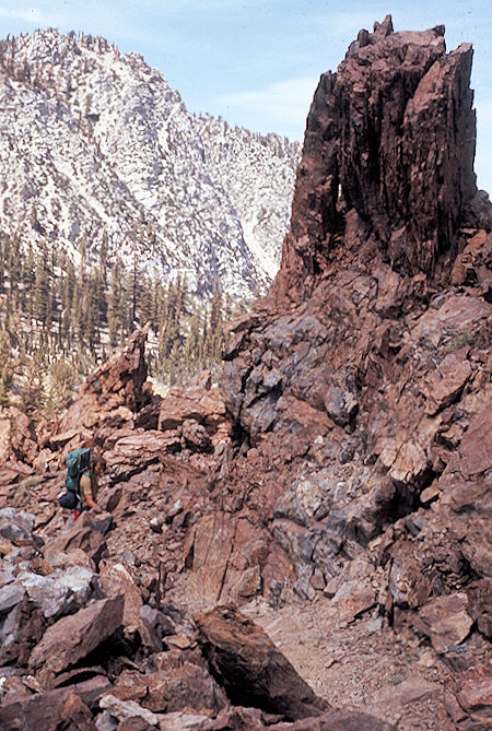 Sierra Nevada - John Muir Wilderness - Sawmill Pass Trail below Sawmill Lake 1972