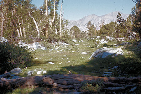 Sierra Nevada - Kings Canyon National Park - Meadow in Woods Lake basin 1972