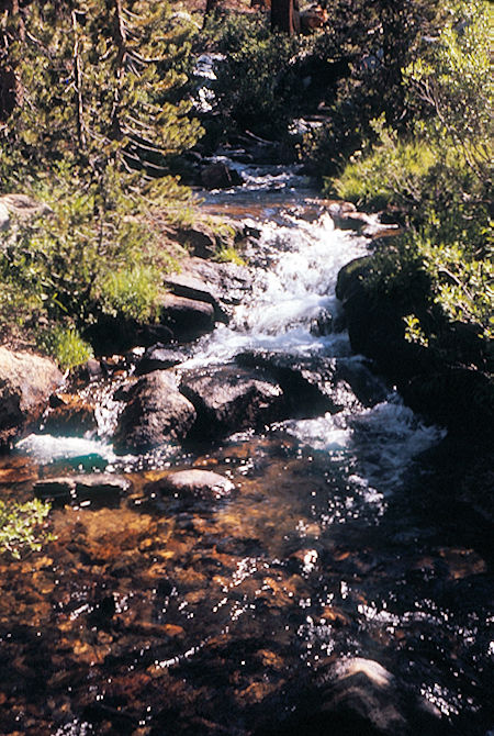 Sierra Nevada - Kings Canyon National Park - Creek at Woods Lake trail junction 1972